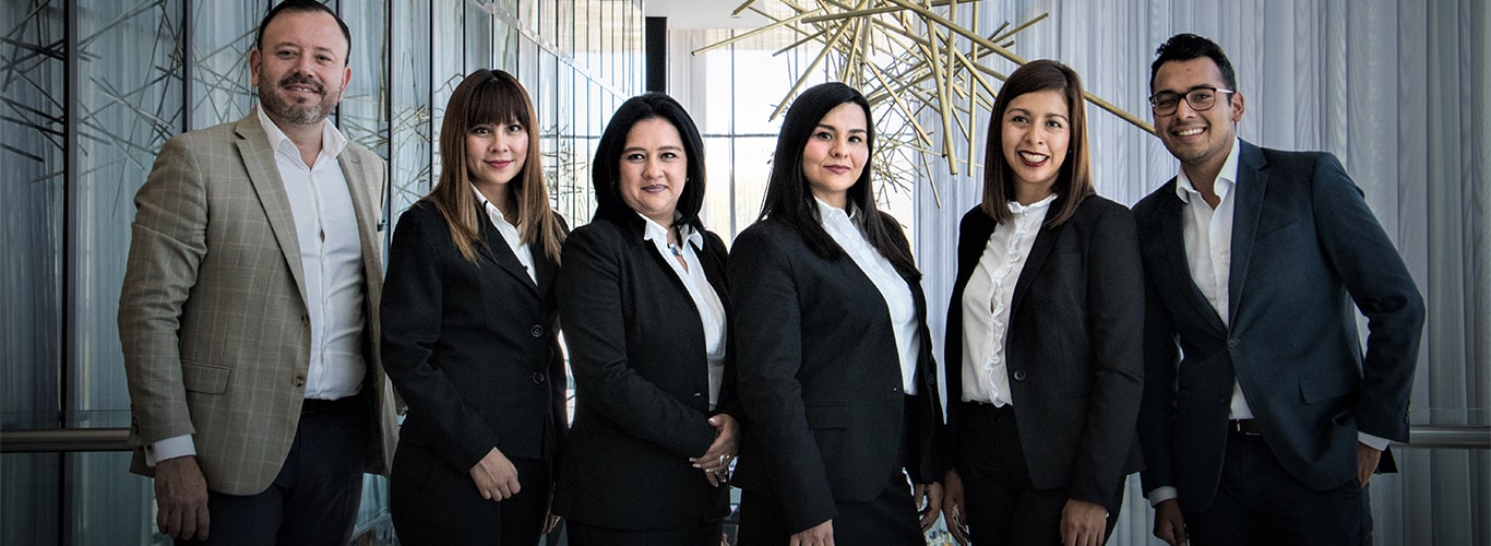 Consultant Leisure Insights